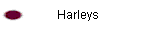 Harleys