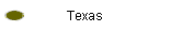 Texas